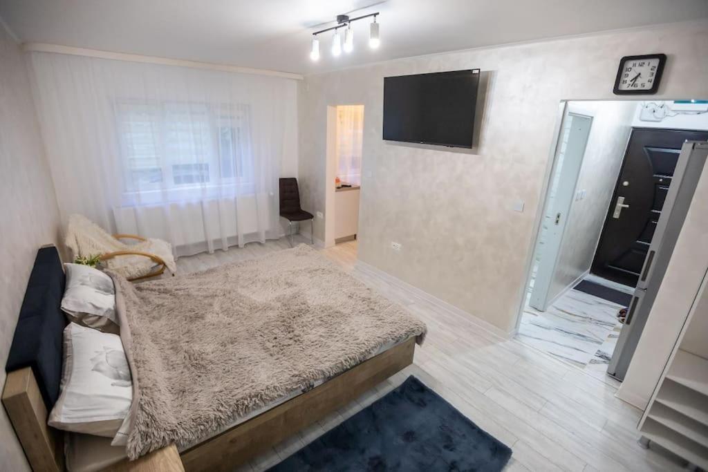 Garsoniera Central II Târgu Jiu Εξωτερικό φωτογραφία